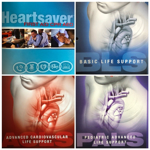 AHA Instructor Courses